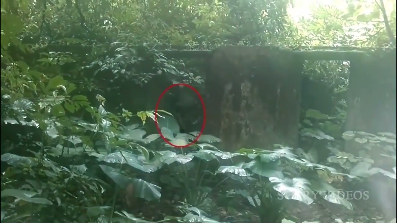 Ghost Entering A Body Caught On CCTV Camera   Ghost Videos 1