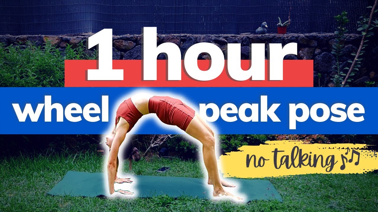 1-Hour Full Body Yoga Workout For Strength & Flexibility | Yoga Wheel Peak Pose Flow | No talking 🎶