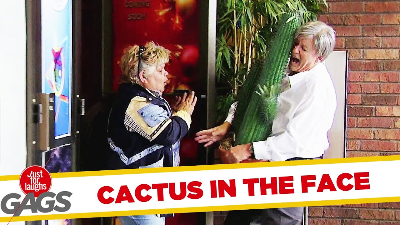 BOOM! CACTUS IN THE FACE