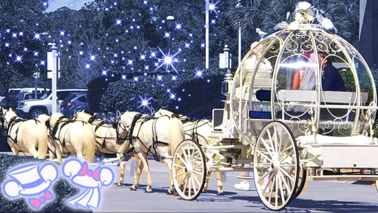 YAMMY'S DISNEY WEDDING WEEK!! (Plus Universal VIP Tour)