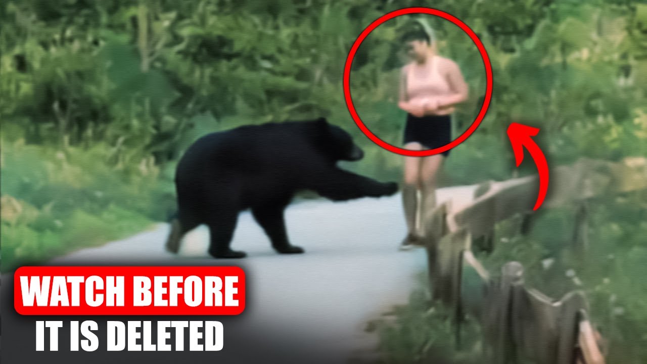 7 Most TERRIFYING Predator Encounters Caught on Camera