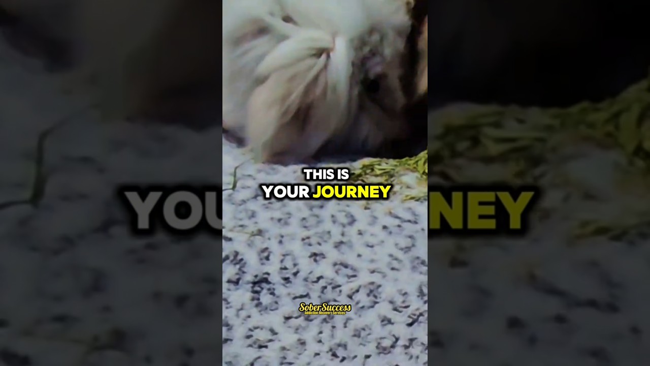 🗣Choose Recovery & Trust The Process‼️💪