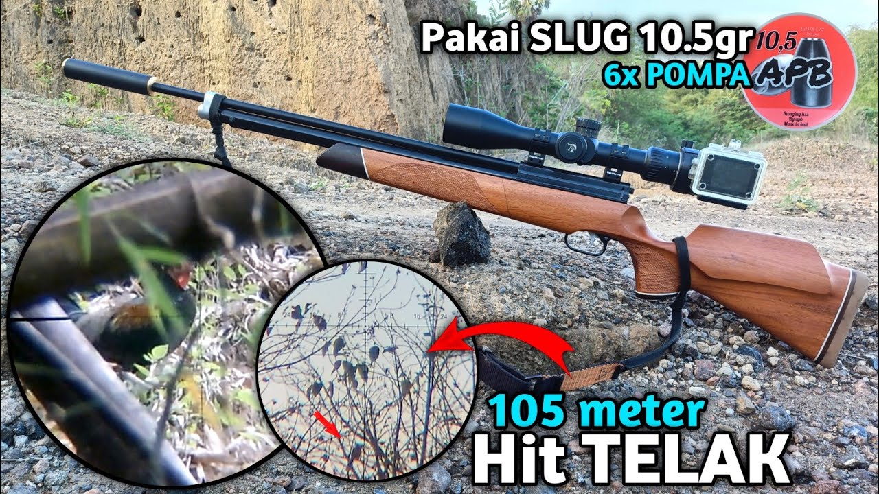 105 meter hit telak pakai uklik‼️ Niat berburu ayam hutan malah pecah rekor