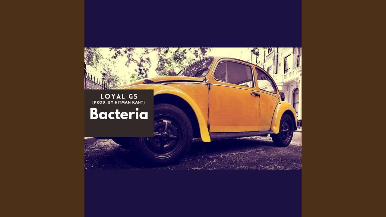 Bacteria