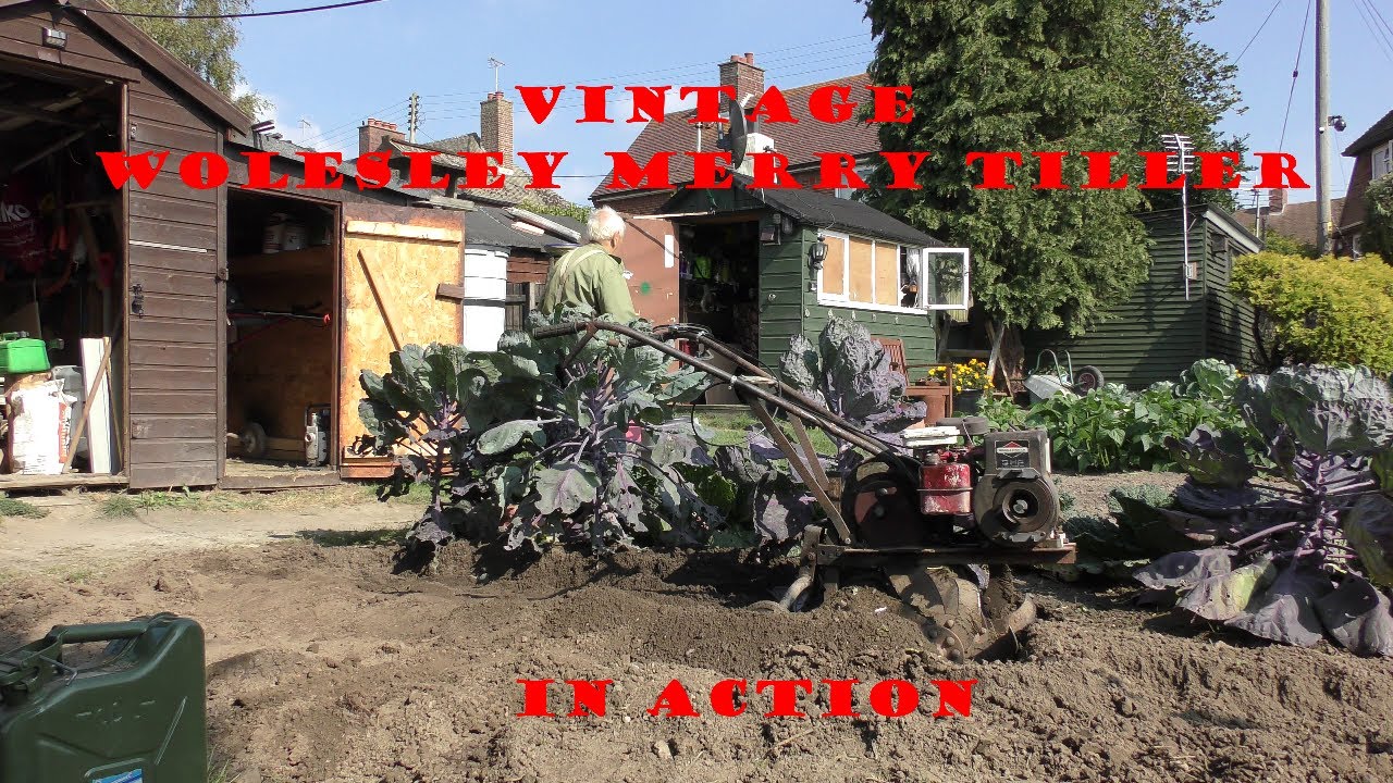 Vintage Wolesley Merry Tiller (In Action)