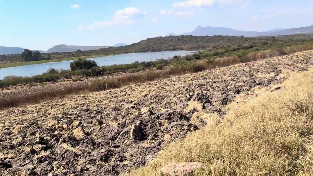 Presa de Santa Clara Presa del sur de Guanajuato Destinada para abastecer los riegos de 6 ejidos