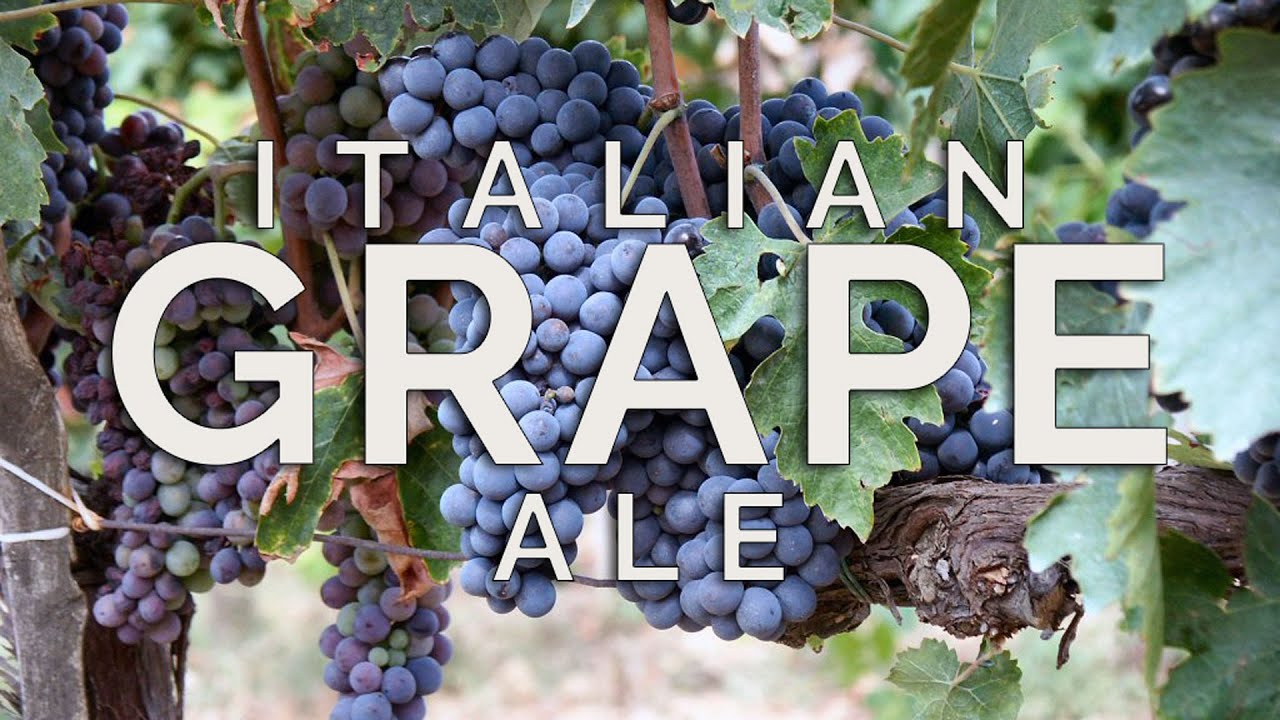 Italian Grape Ale | How To Brew Beer