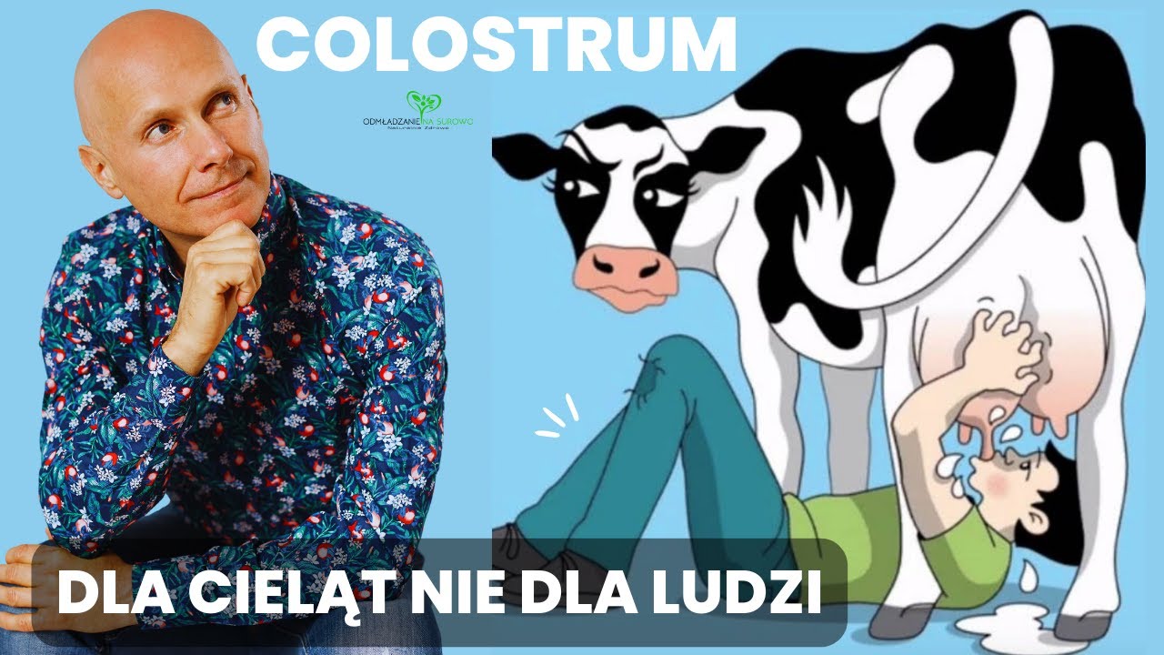 COLOSTRUM krowy 🐄 czy klaczy 🫏 jest dla cieląt, zrebiat nie dla ludzi (w tym dorosłych) 🤔💯‼️