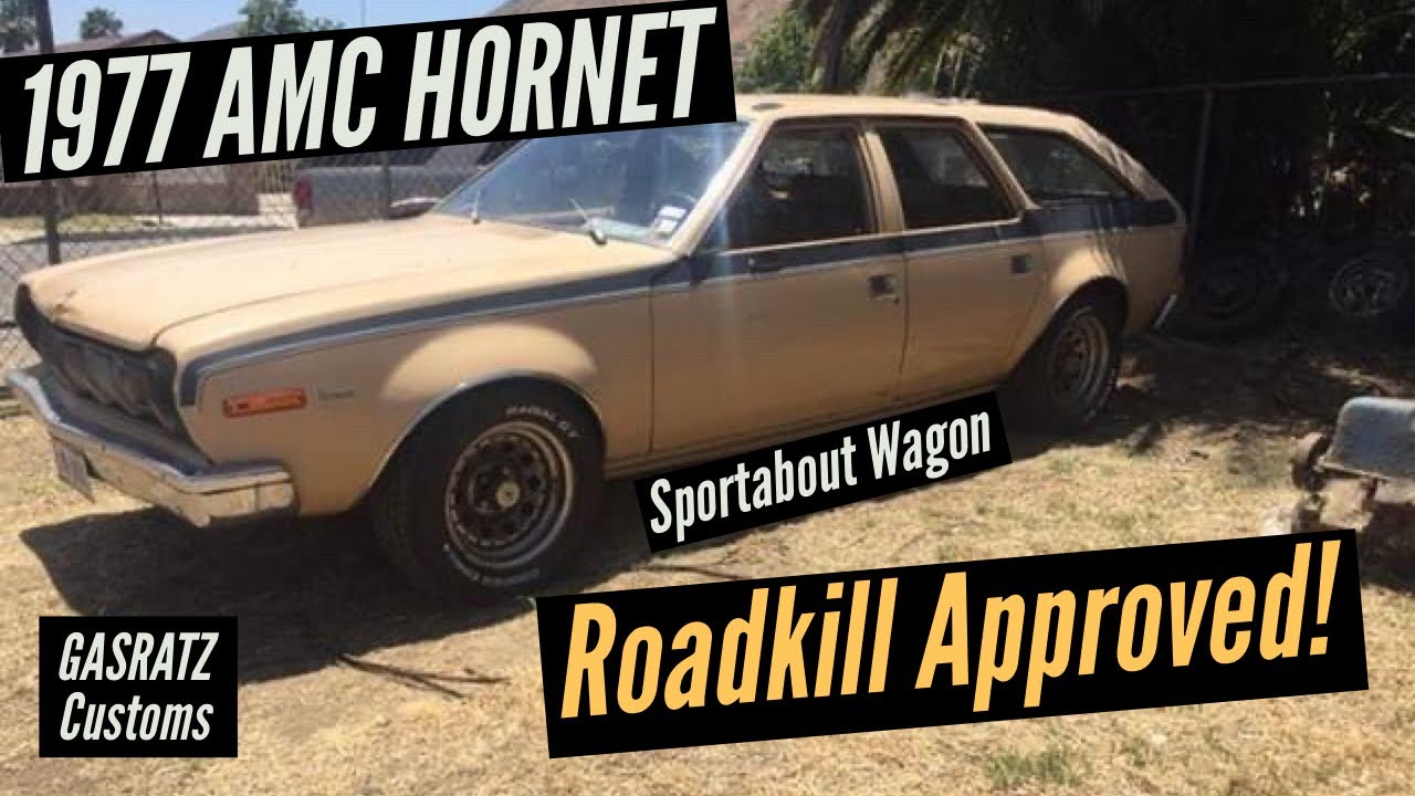 Roadkill Approved AMC Hornet!