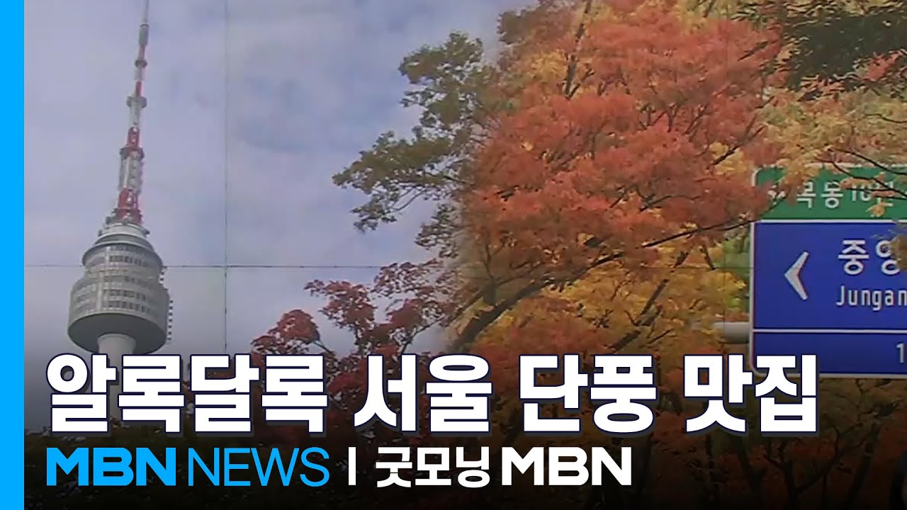 이번 주 단풍 절정&hellip;도심 속 단풍놀이 명소는? [굿모닝 MBN]