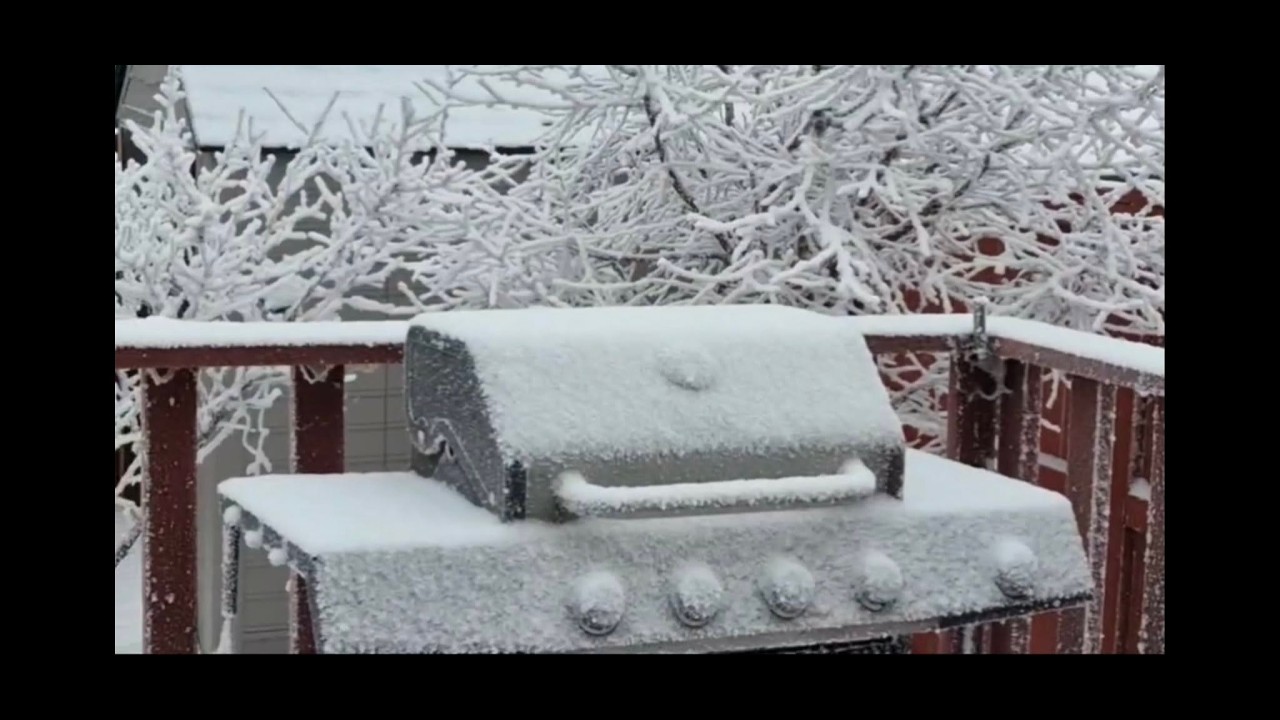 Relaxing peaceful music live #winter #music