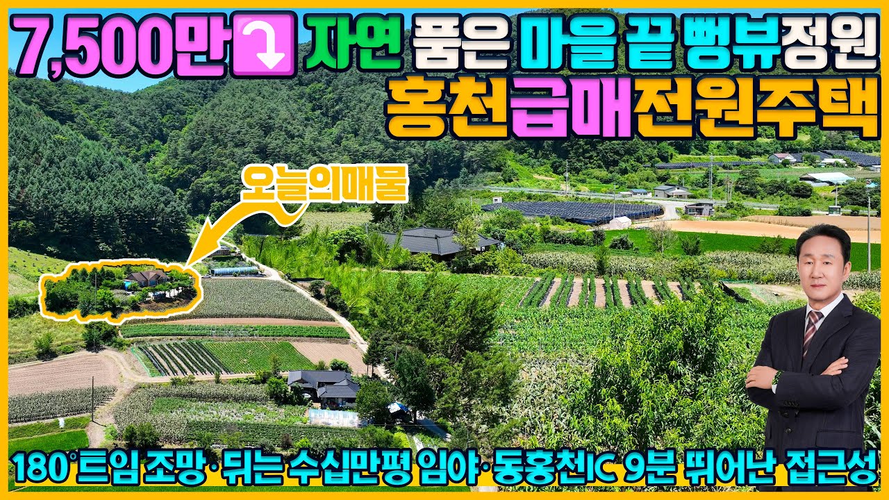 [매물번호 919] “7,500만원 인하 급매! 1,170㎡(354평)·임야숲세권·180도 조망 이런 전원주택이 2억2천? 이  가격이면 무조건 봐야 합니다”