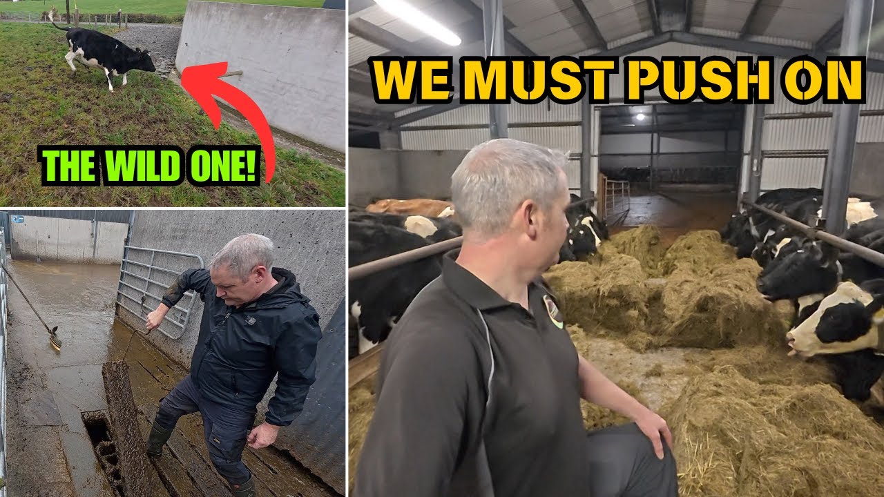 I've Had To Step Back From The Farm || Battling Through Difficult Times