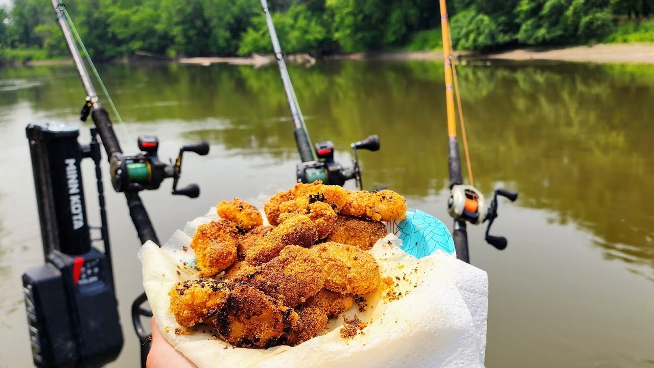 Shallow River CATCH AND COOK!! (Brushpile Fishing)