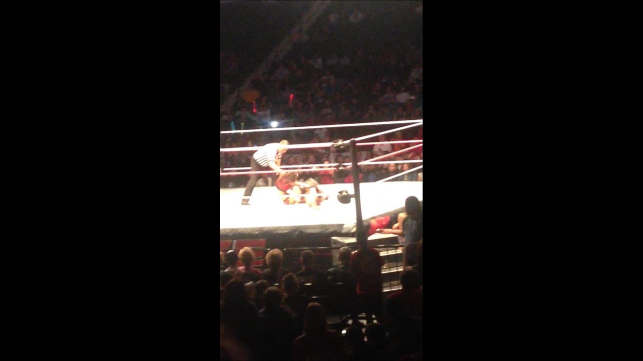 Brie Bella putting Nikki Bella in the Yes Lock