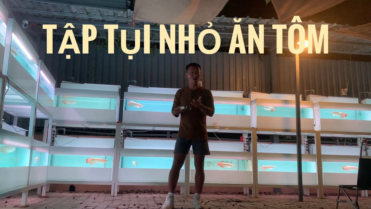 Huyết Long Phông Trắng - ae đợi tí tụi nó sẵn sàng A tới Z rồi Hiếu sẽ cho về nhà ae