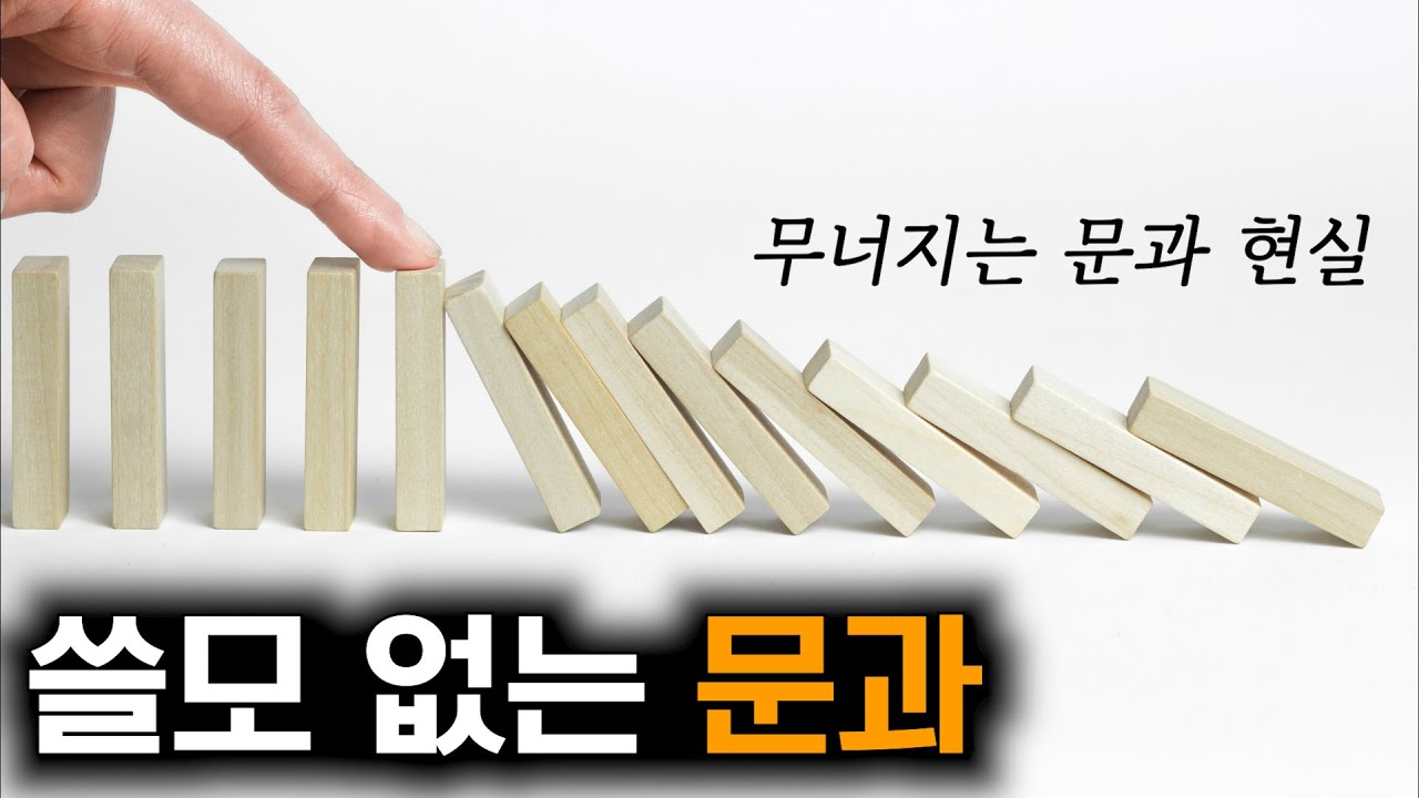 문과가 망해갈 수밖에 없는 현실 분석 (feat. 서울대 철학과, 독문과 전공한 인문학 덕후...)