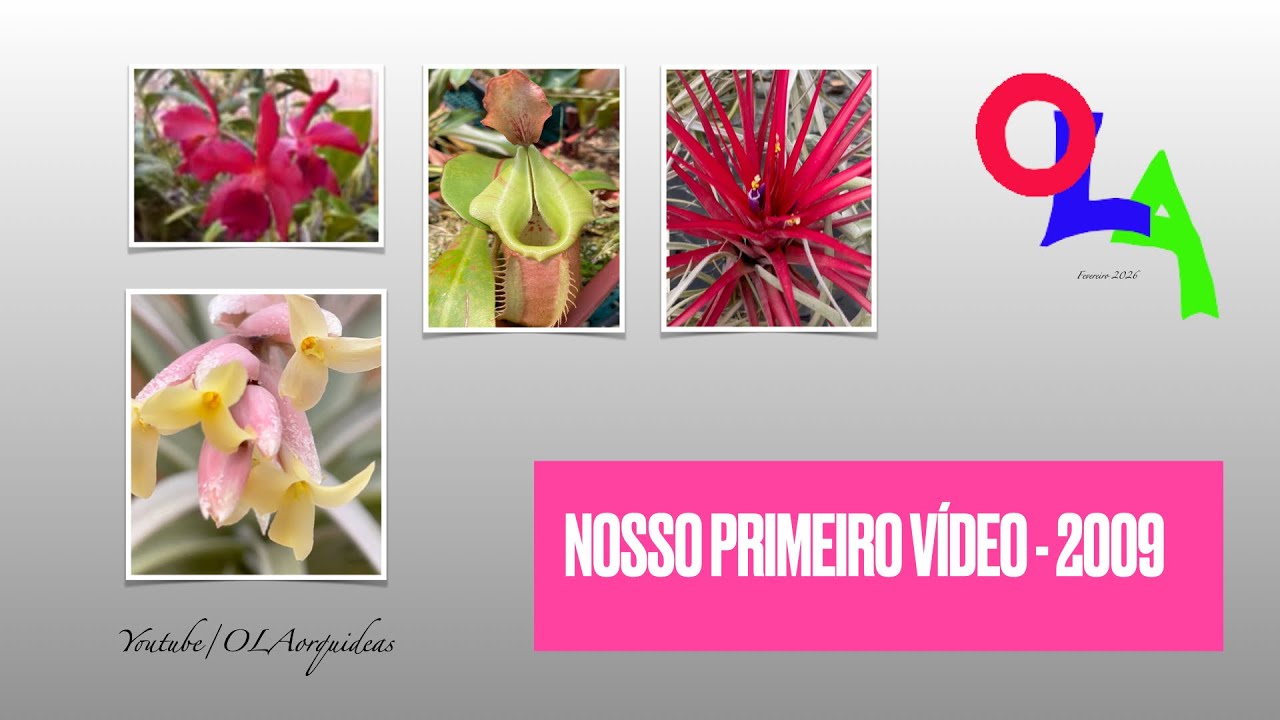 Relembrando Nosso PrimeiroVideo em 2009