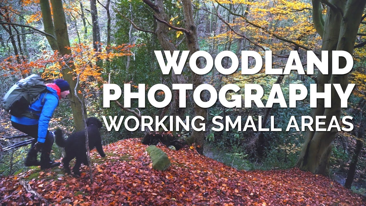 Woodland Photography - Working Small Areas