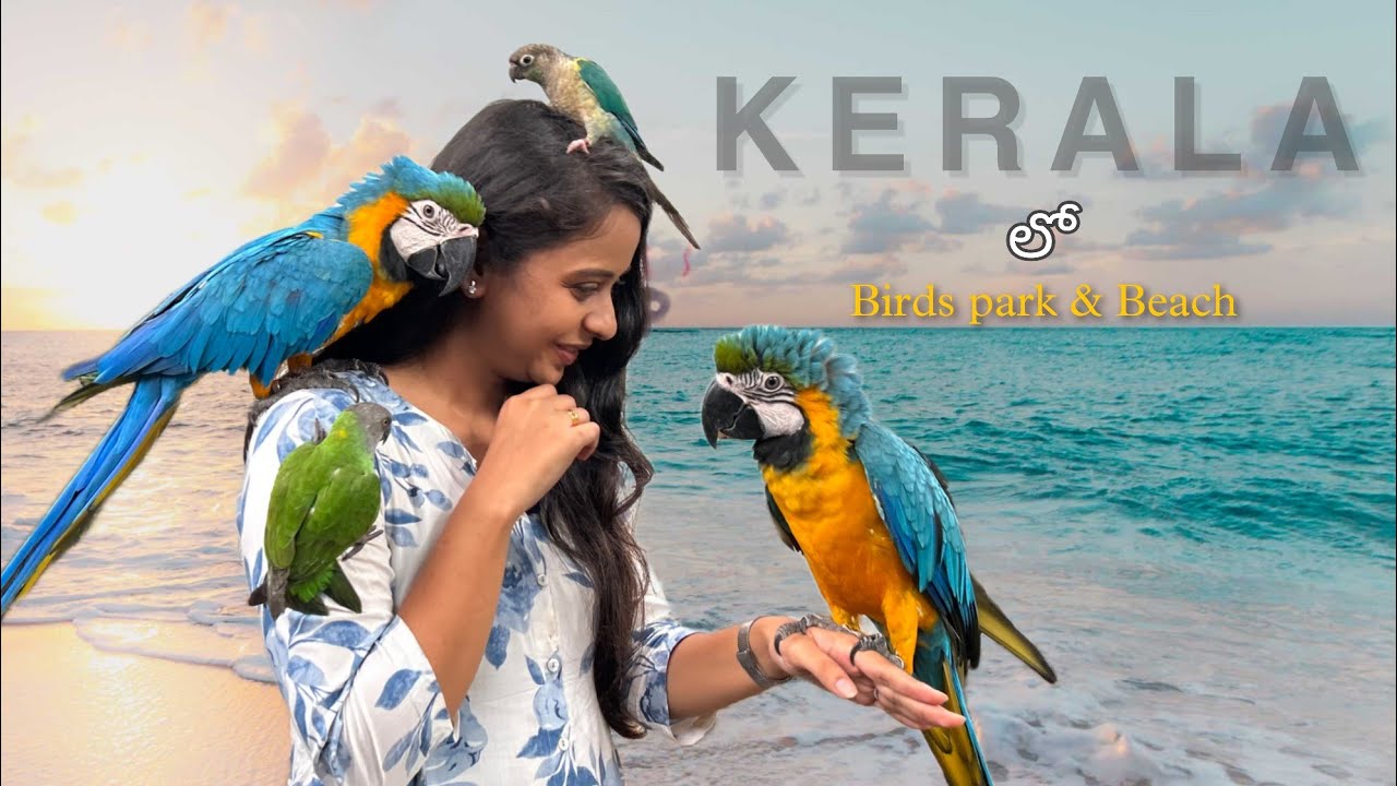 Kozhikode Beach and Fun city | Kerala | Birds park | Telugu Traveller | Godavari Ammayi