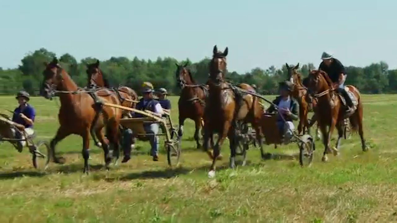 Jean-Marie Monclin, entraineur de trotteurs en Anjou