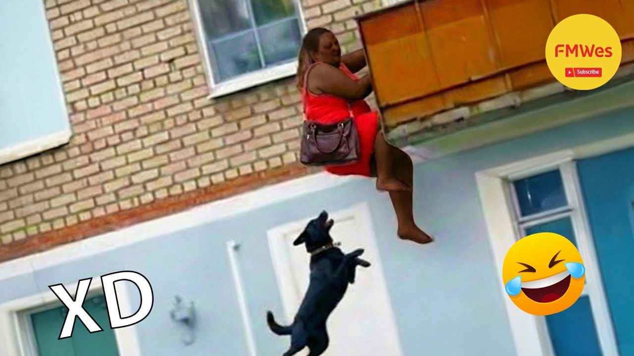 SI TE RÍES PIERDES NIVEL DIOS #614 🤣🥶🚨 [999.99 IMPOSIBLE NO REÍRSE] Videos De Risa Muy Gracioso 2026