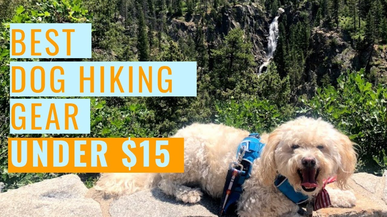 Best Dog Hiking Gear (Under $15 on Amazon)