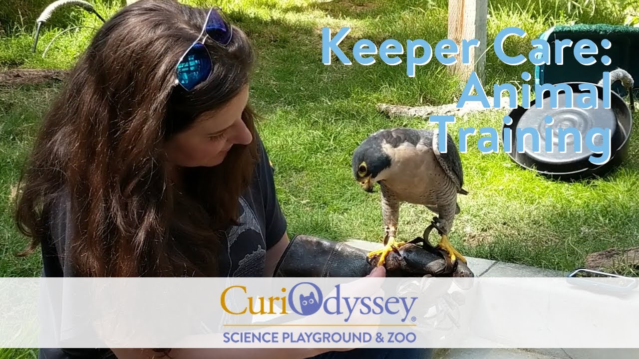 Keeper Care: Animal Training