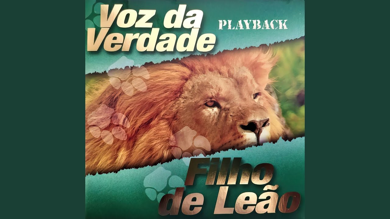 Sem Você Não Dá (Playback)