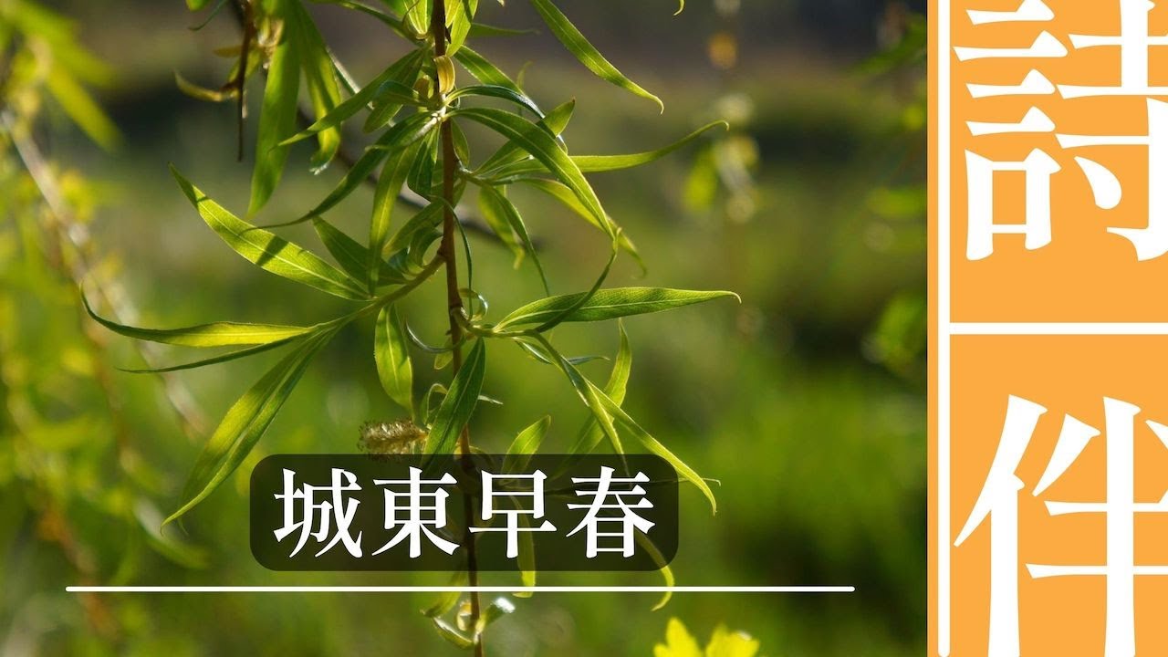詩文日曆之正月二十七：城東早春（唐 楊巨源）【千年前觸動心弦的一刻  永遠停留在初春那片淡黃的柳芽上】（繁體字幕）
