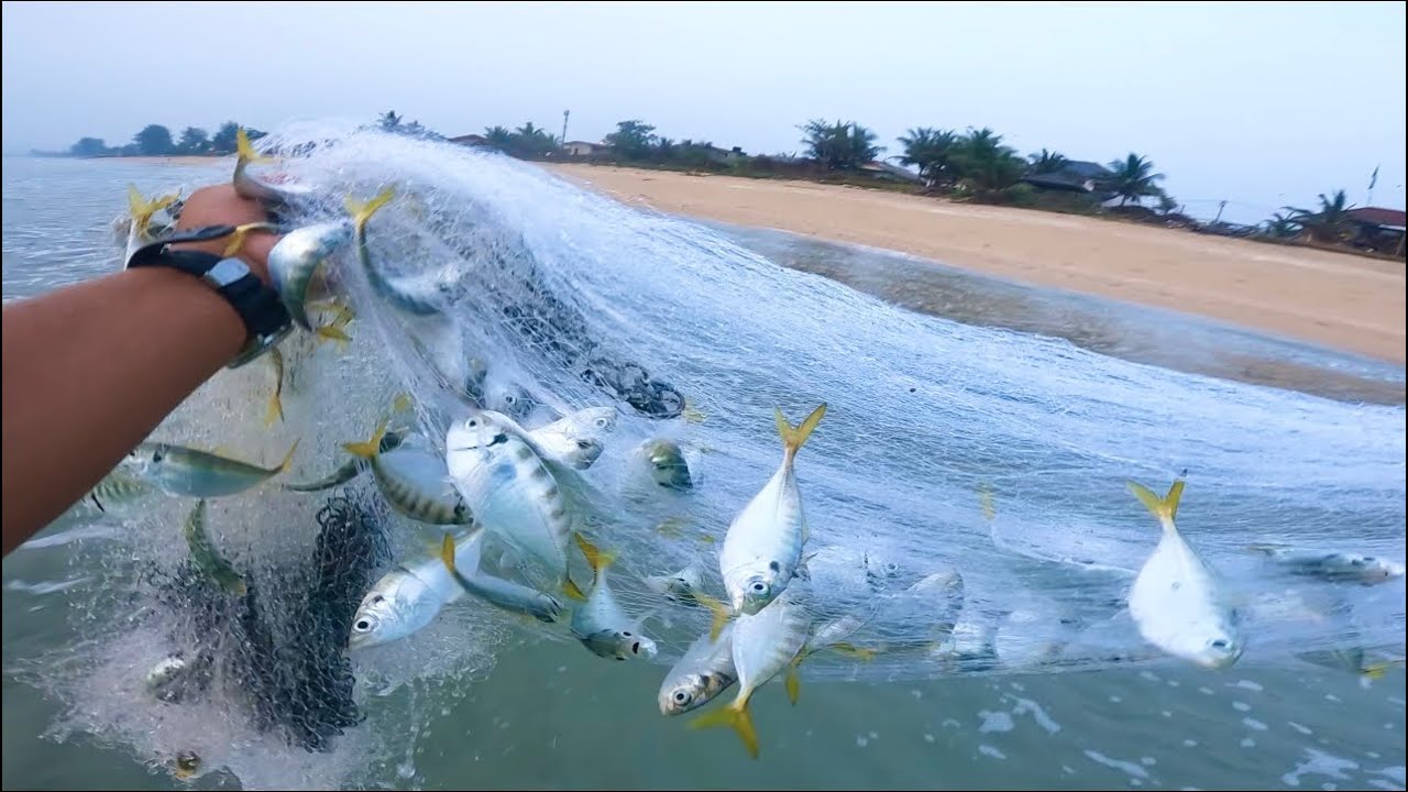 🇲🇾Rezeki 25 Ramadhan Menjala Ikan Pelata Di Pantai Ru Renggeh Marang Terengganu! |Cast Net Fishing