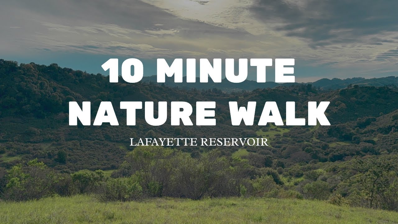 10 Minute Peaceful Walk | Lafayette Reservoir Rim Trail | Relaxing Nature Sounds