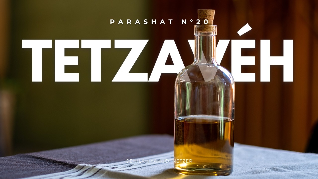 Parashat Tetzaveh N°20 Ordena - 28/02/2026