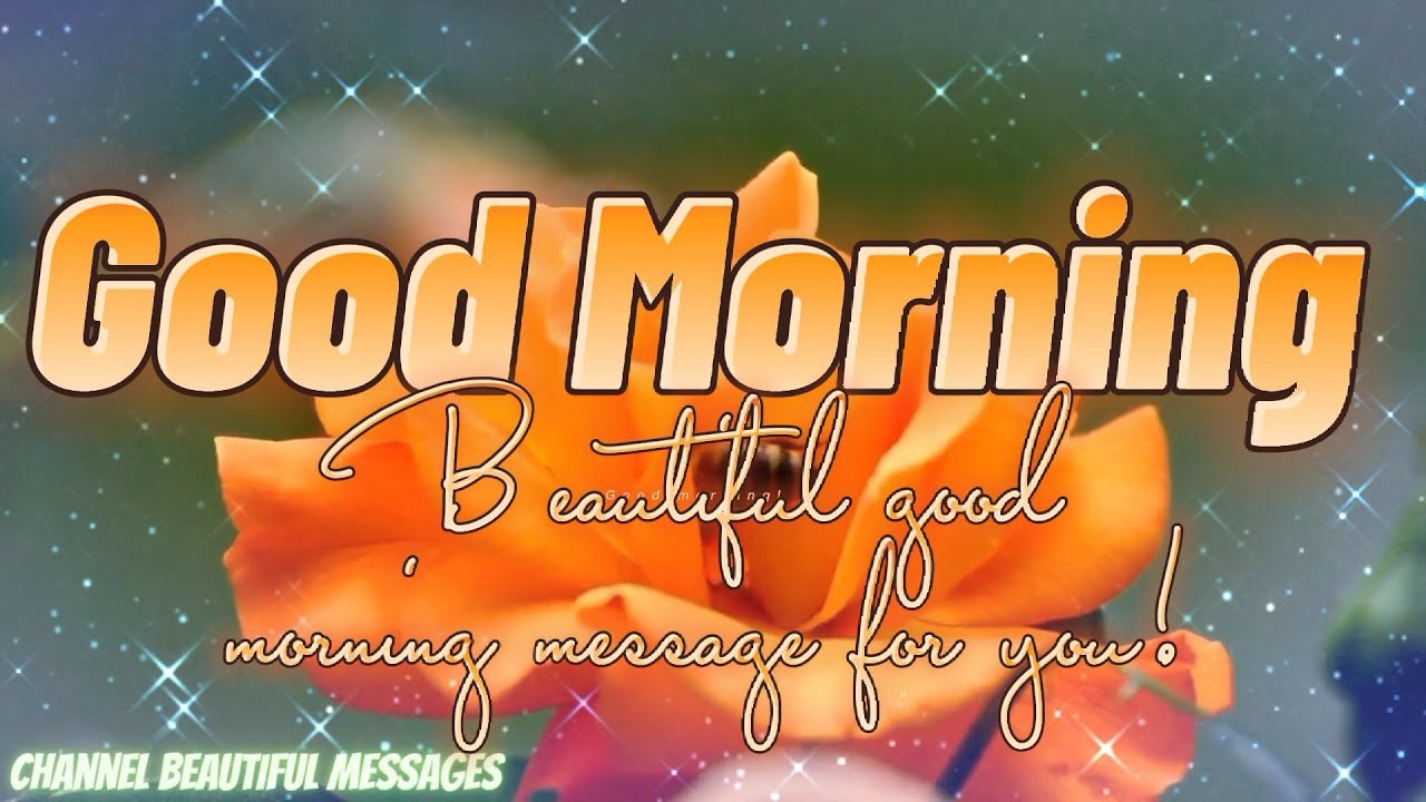 Good morning! May God bless you and give you a blessed day full of peace.