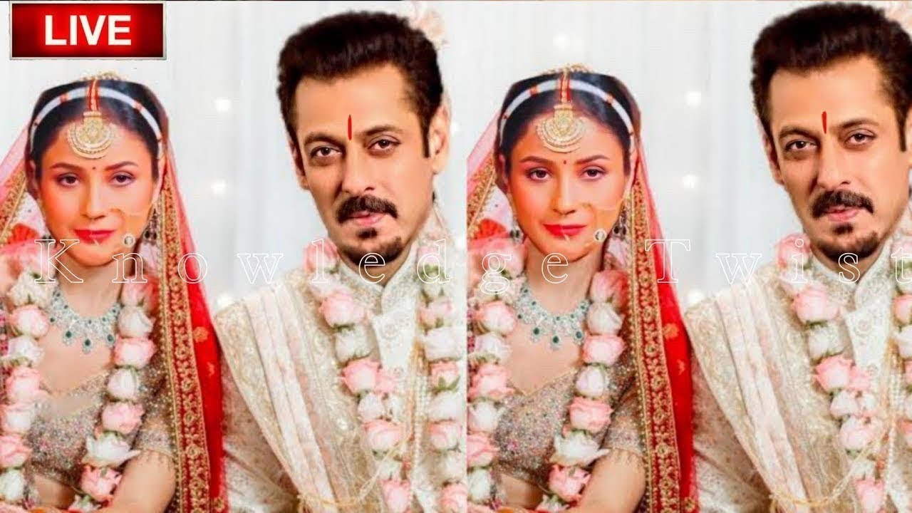 नए दुल्हा दुल्हन  Salman और Shehnaz आए Insta पर Live फैंस ने दिया reaction || #salnaaz #sidnaaz #sid