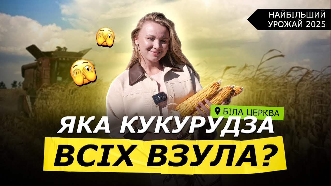 ❗НАЙБІЛЬШИЙ УРОЖАЙ КУКУРУДЗИ 2025 РОКУ 🌽 НОВИЙ РЕКОРД В УКРАЇНІ | Строки і густота посіву