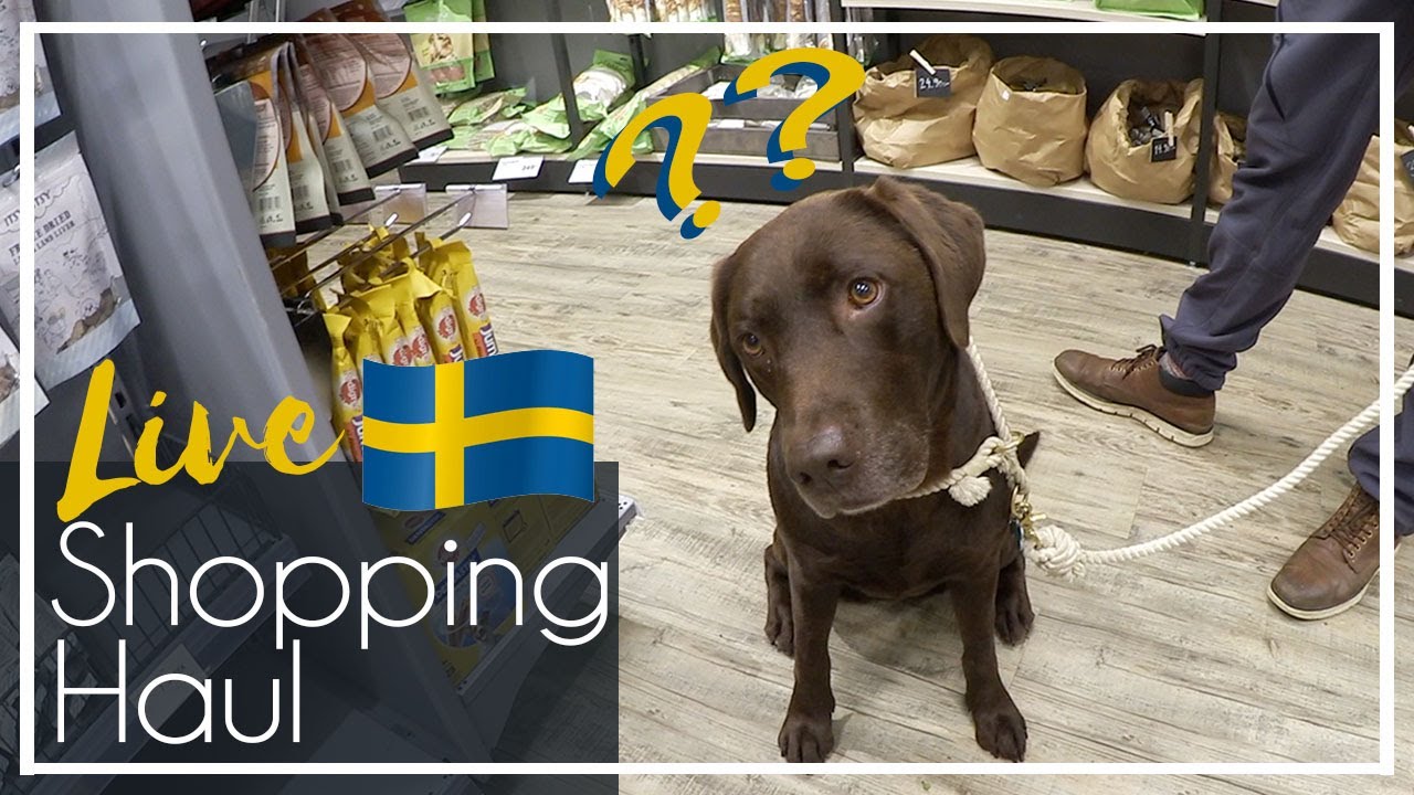 Live Shopping Haul Schweden  - DAS habe ich noch nie gesehen | KaroLovesMilka