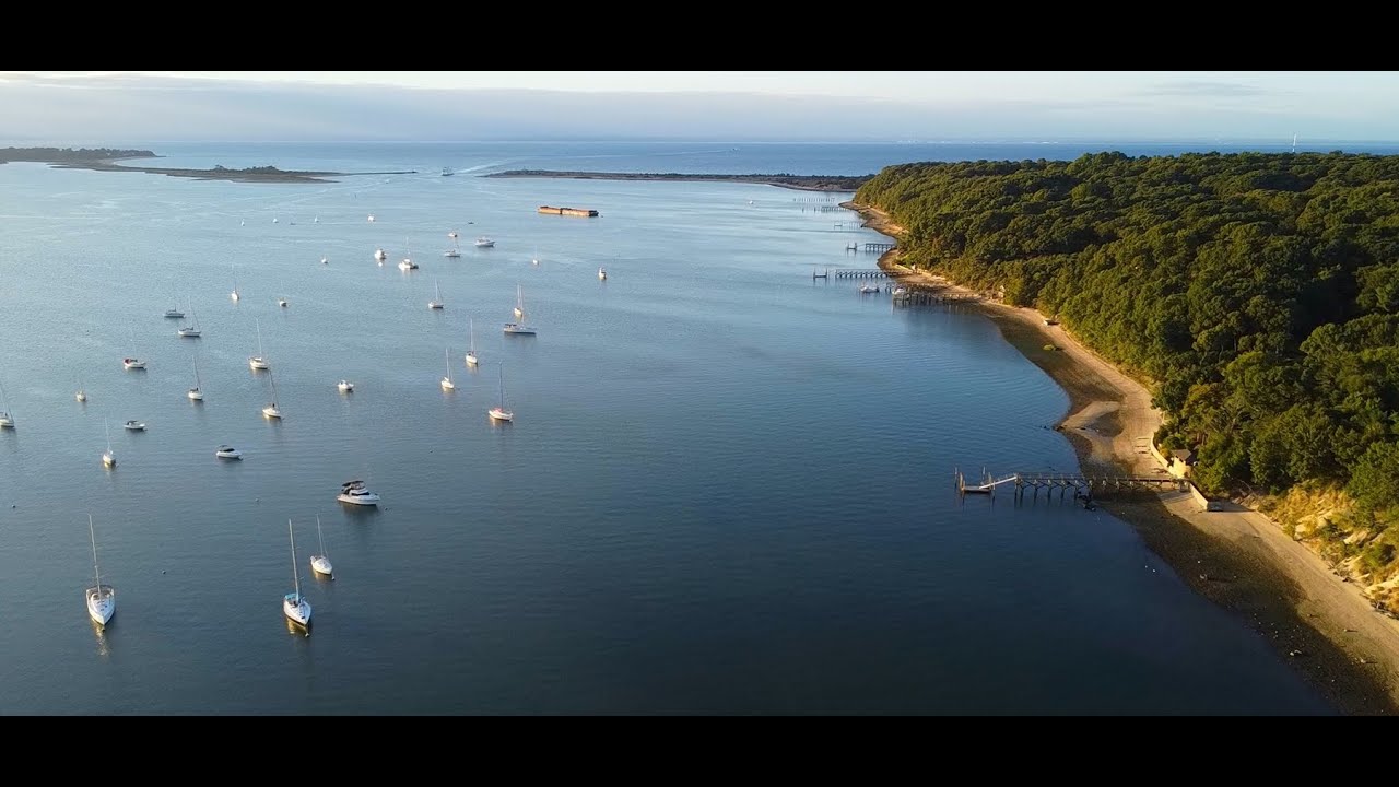 Harbor Views from Above