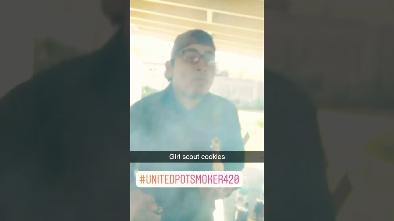 UnitedPotSmoker420 - Smoking thc Girl Scout Cookies