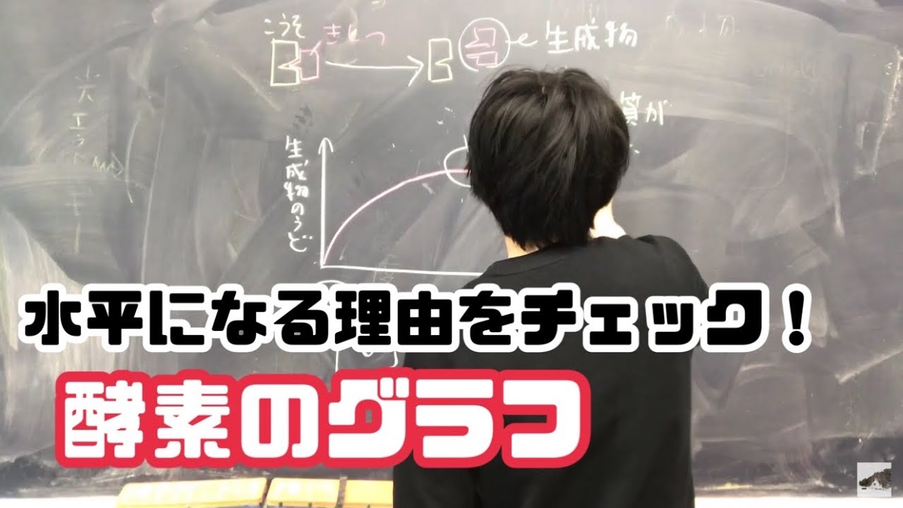 酵素に関するグラフ　高校生物