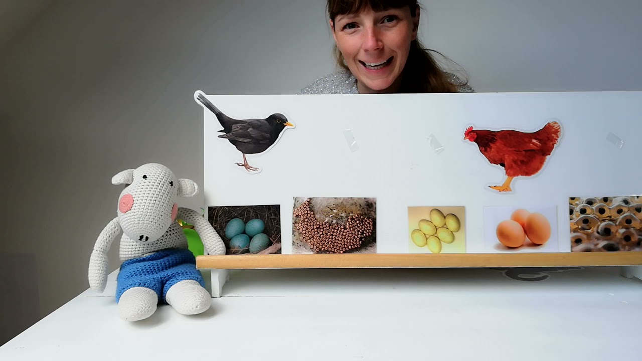Ilse vond nog een heleboel paaseieren... Varkentje Bo ontdekt dat het geen echte paaseieren zijn...