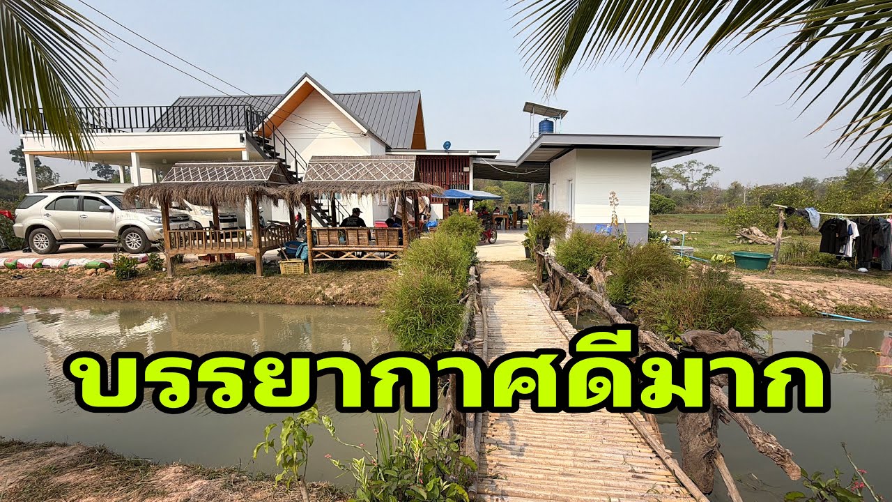 สวัสดีตอนสายๆครับ#อุ๋งอิ๋งเพชรบ้านแพง 