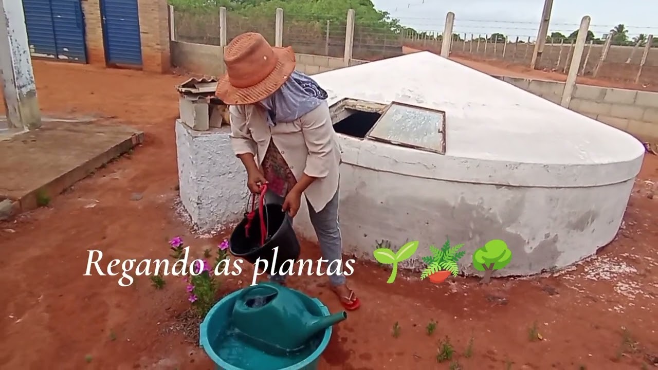 31 de janeiro de 2026