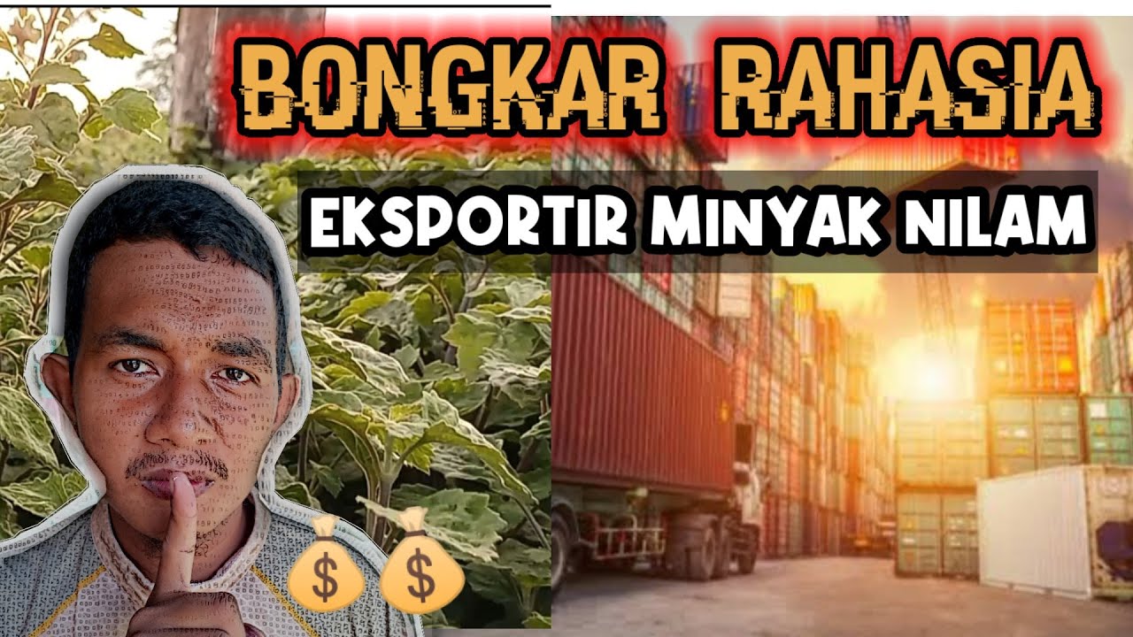 BONGKAR RAHASIA EKSPORTIR MINYAK NILAM | ekspor minyak nilam | go4worldbussiness