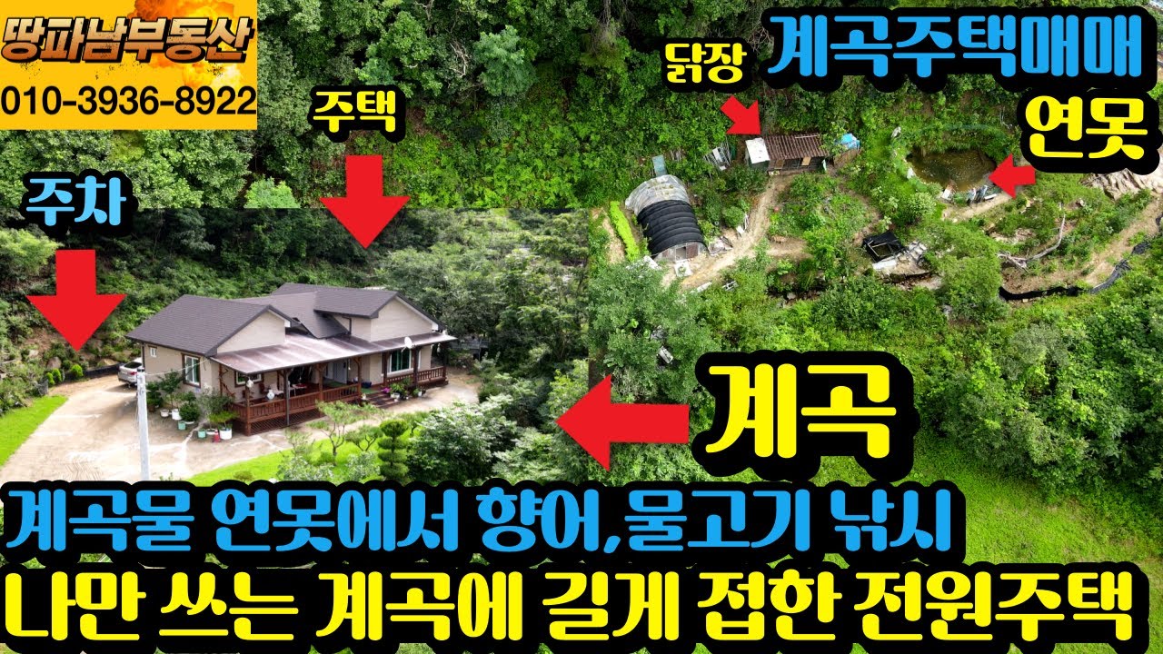 맑은 계곡물 연못에서 물고기 향어 낚시를 하는 산속 계곡 주택 동네와 떨어진 산아래 첫집 나만 쓰는 계곡에 길게 접한 계획관리 귀래면 토지 전원주택 대문 닫으면 아무도 못 들어와