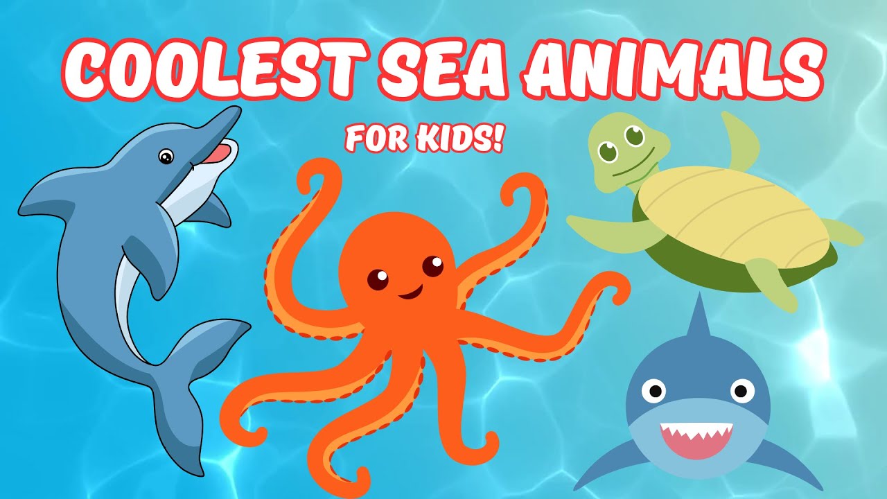 WOW! Learn About the Coolest Sea Animals + Fun Facts for Kids