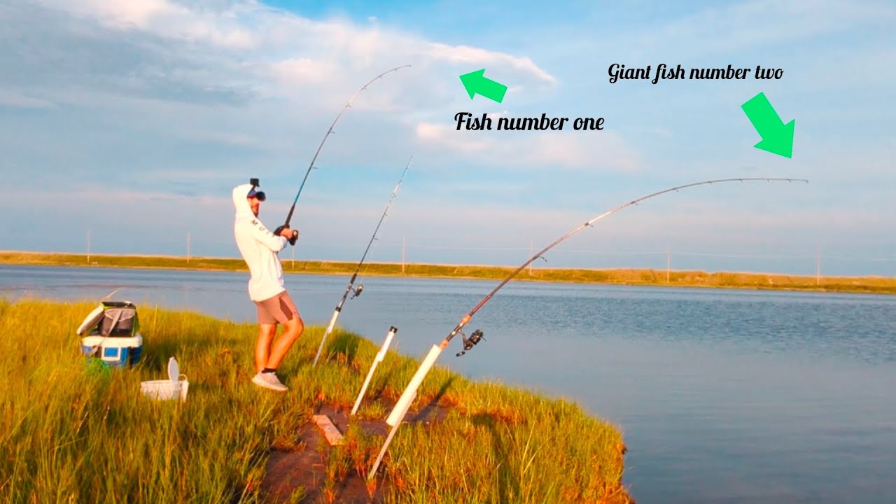 OBX Fishing 101 : How to do? Where to go? What to do? What to use? Expert Tips and Techniques