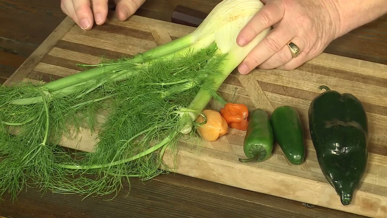 Soup's Secret Ingredients