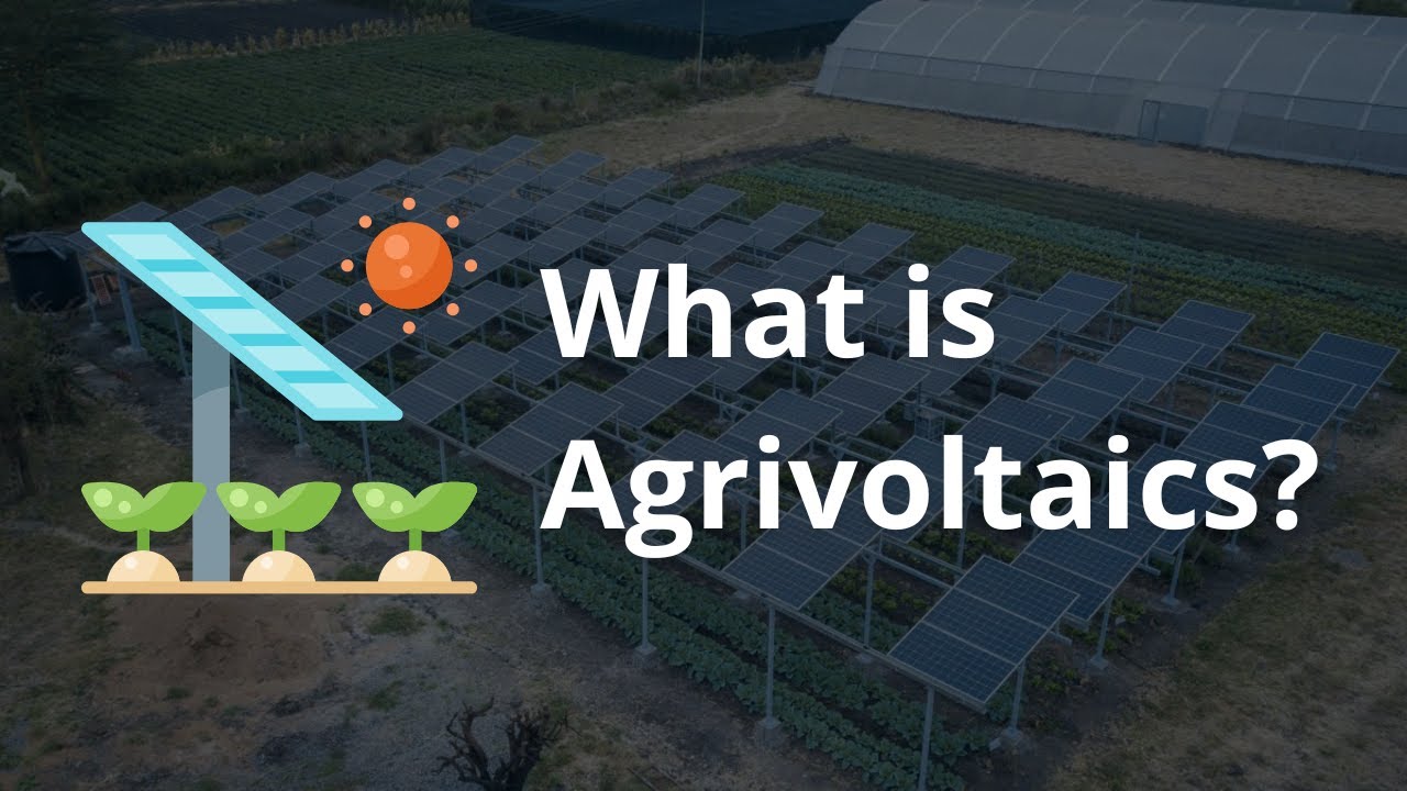 What is Agrivoltaics?