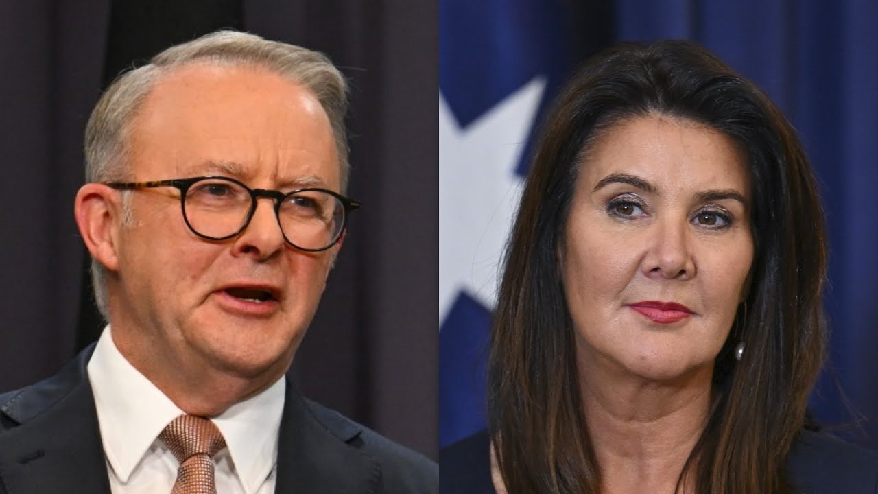 Australians ‘looking for answers’ after Albanese government’s failure
